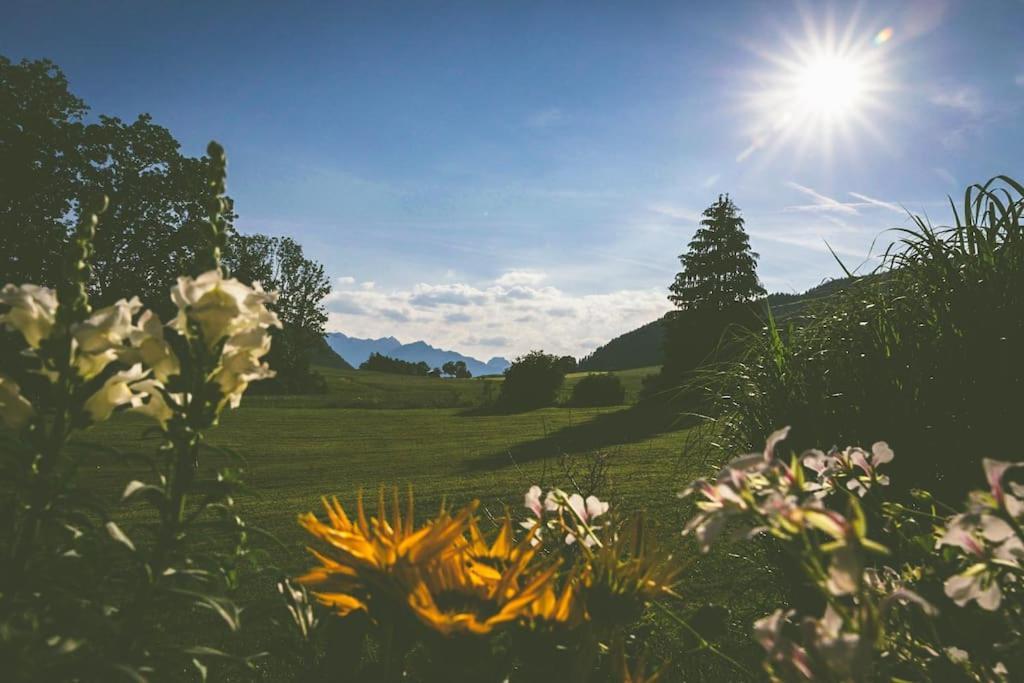 Fritzis Alpenidyll „Sommertraum&Winterromantik” Samerberg Exterior foto